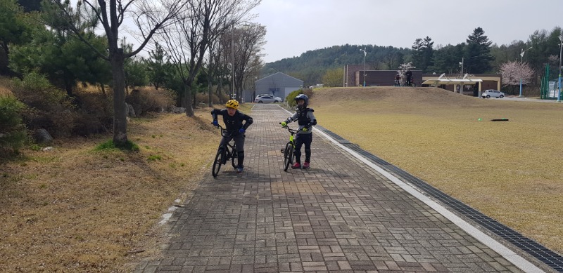 20190420_103227.jpg